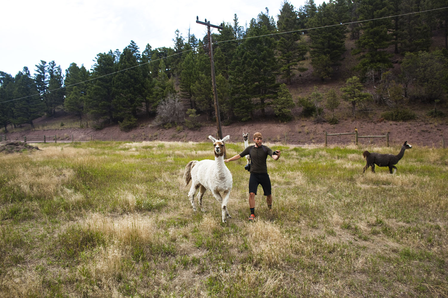 GDMBR 2014 - AViewFromTwoWheels.com