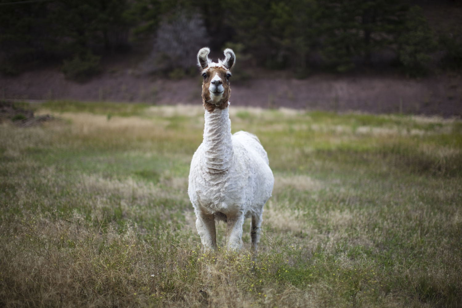 GDMBR 2014 - AViewFromTwoWheels.com